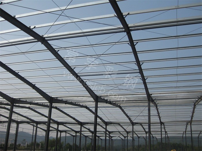 1448761409374529.jpg IMG_0568.JPG