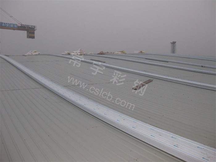 1449729042755939.jpg IMG_8572.JPG