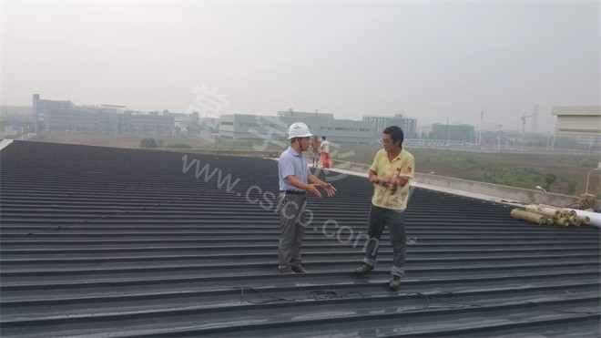 <span style='color:#666B7F'>湖南1.0厚直立锁边铝镁锰合金板 _雷锋第二小学</span>