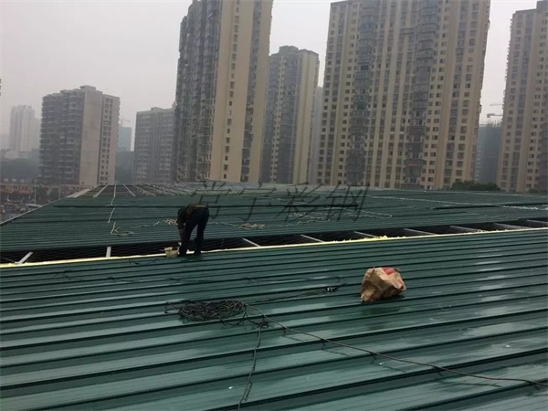 长沙彩钢瓦应用案例--桃花村钢结构厂房